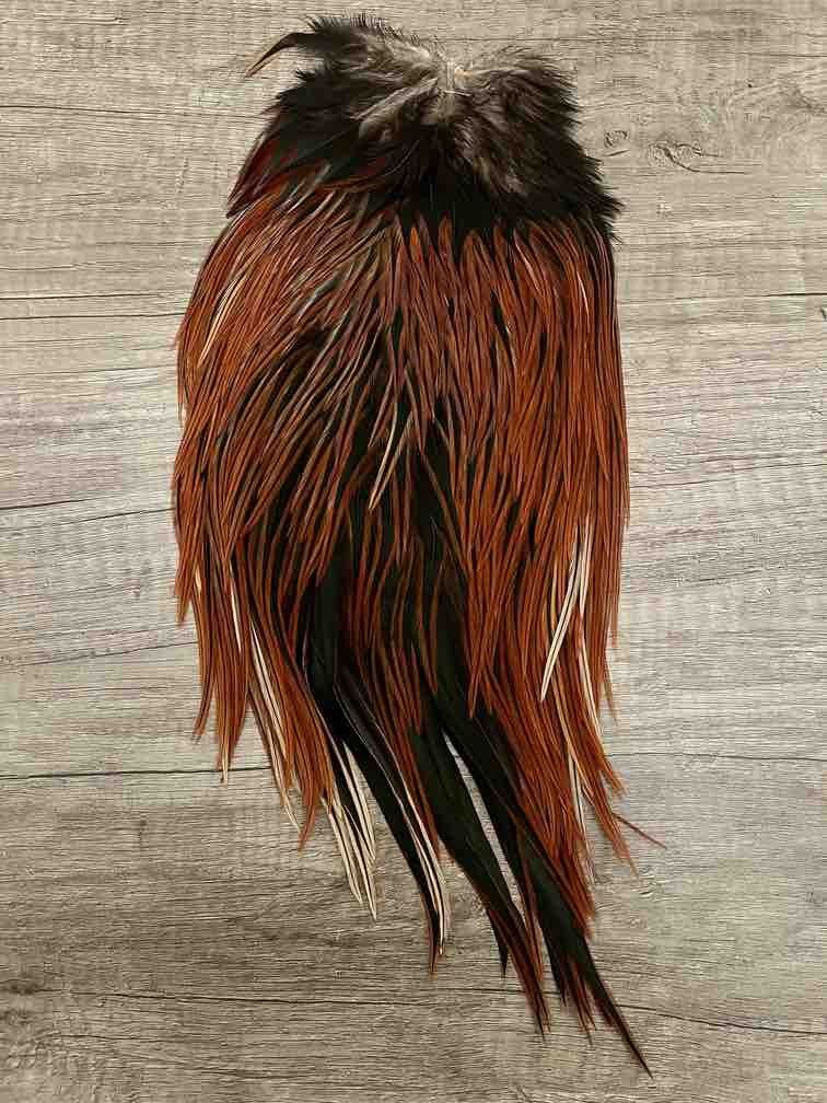 Selle de Coq Marron Montage de Mouches, Art et Artisanat