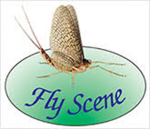 FLY SCENE