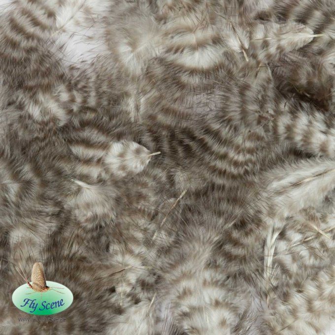 Pochette Marabout Grizzly Fly Scene
