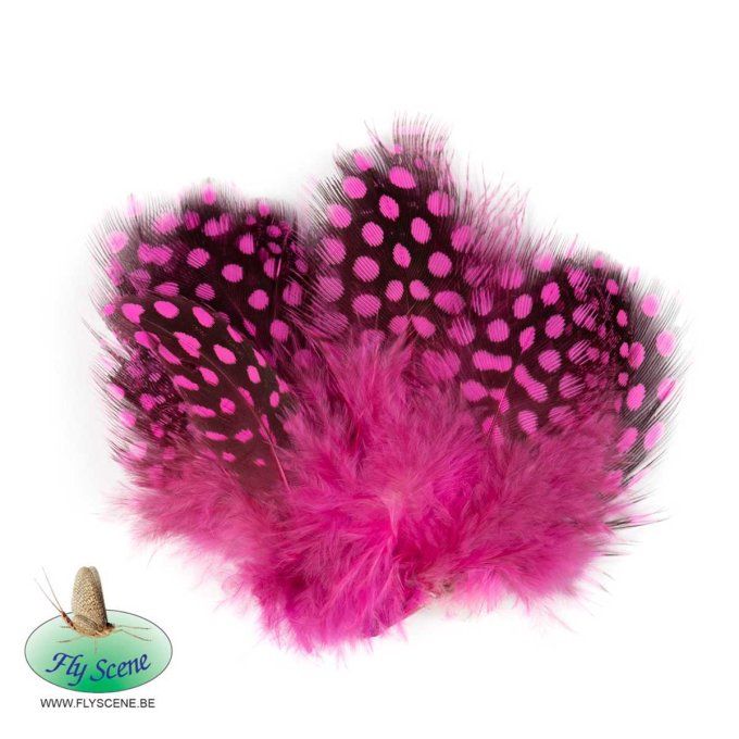 Plumes Pintade FLY SCENE
