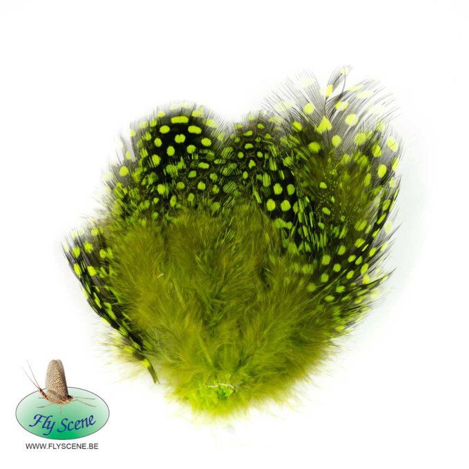 Plumes Pintade FLY SCENE