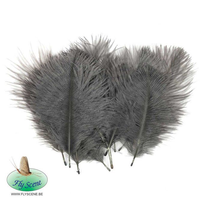 Marabout Petites Plumes D'Autruche Fly Scene