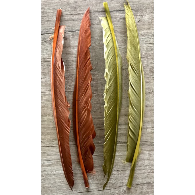 Plumes Quills d'oie (la paire)