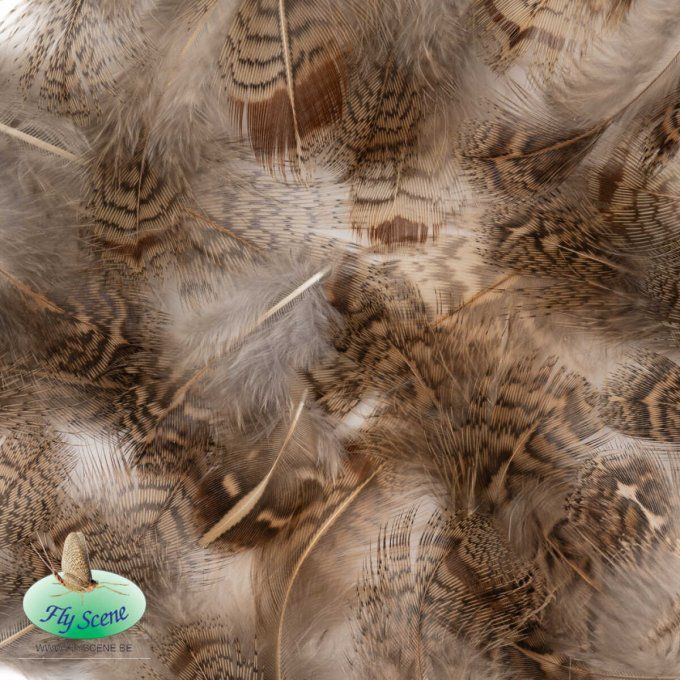 Plumes de Perdix naturelles gris ou brun 