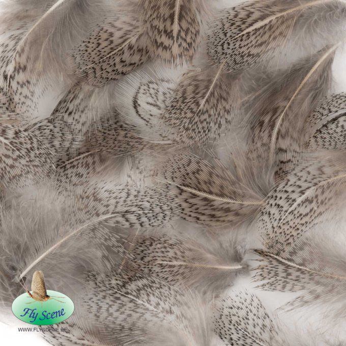 Plumes de Perdix naturelles gris ou brun 