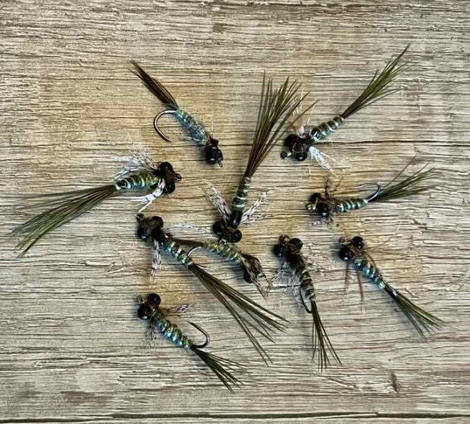 Larve libellule demoiselle en #10