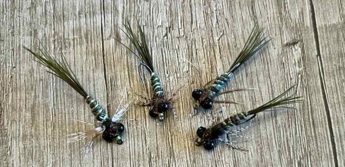 Larve libellule demoiselle en #10