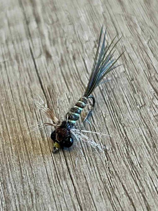 Larve libellule demoiselle en #10