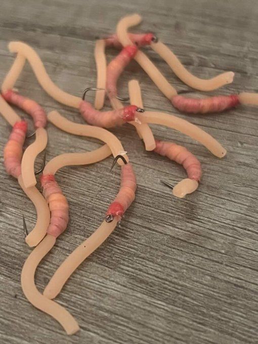 MAD5 Ver de terre #10