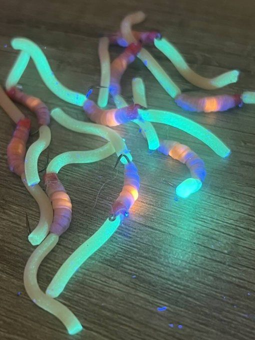 MAD5 Ver de terre #10