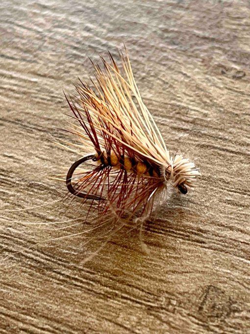 Elk Hair caddis