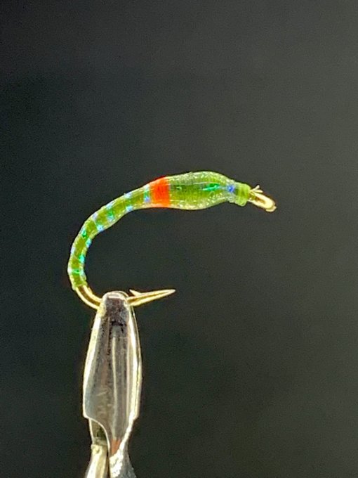 Chiro vert olive tag orange