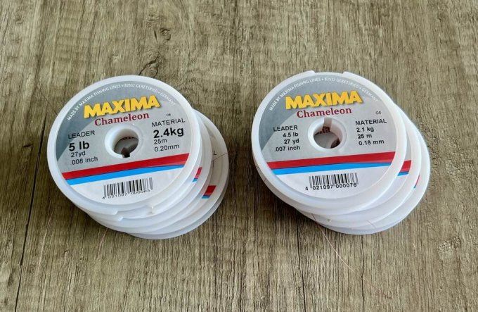 Fil Maxima Chameleon