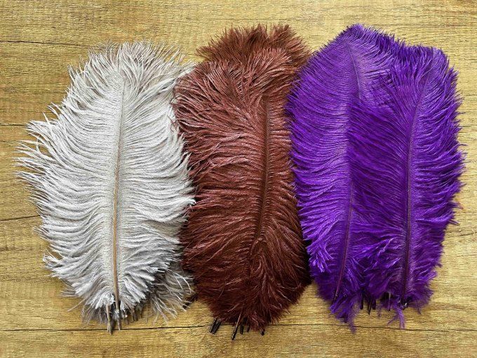 Plumes autruche 