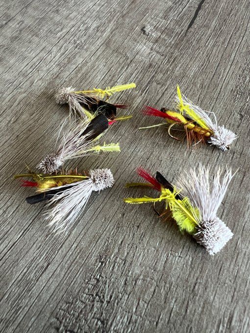 Sauterelle Chevreuil (Dave's Hopper)