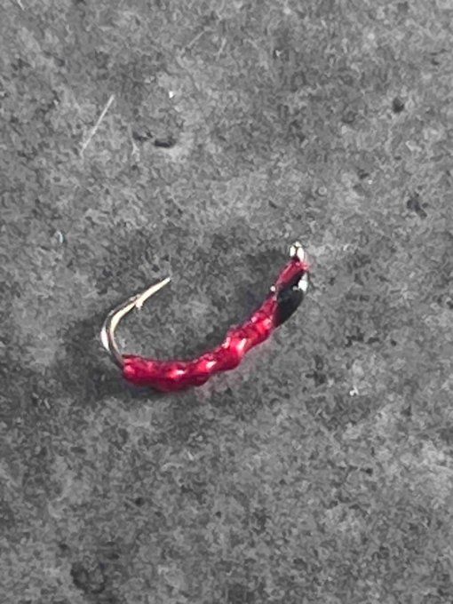 Chiro rouge annelé 