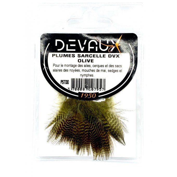 Plumes sarcelle DVX jaune ou olive ou naturelle