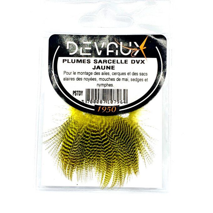 Plumes sarcelle DVX jaune ou olive ou naturelle