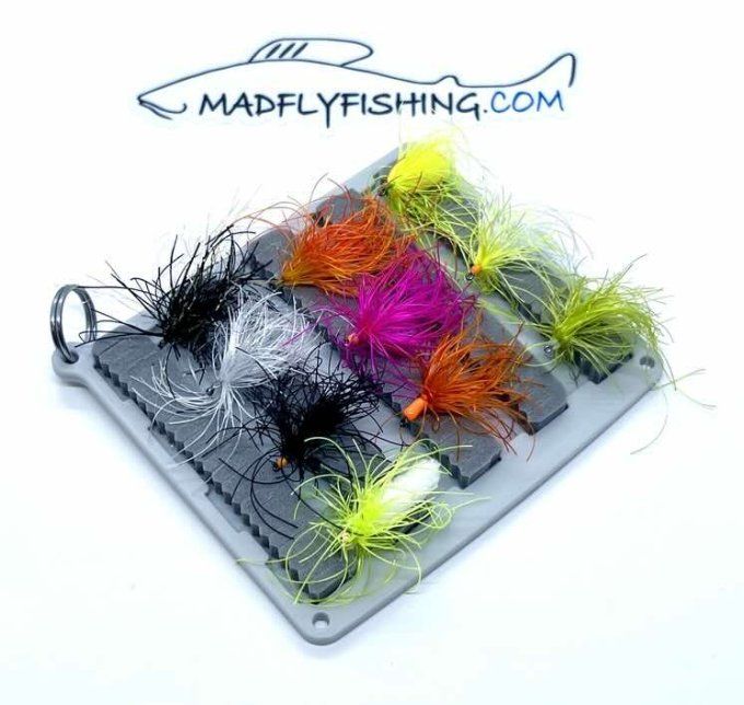 Kit découverte Le Poulpe 2025-26