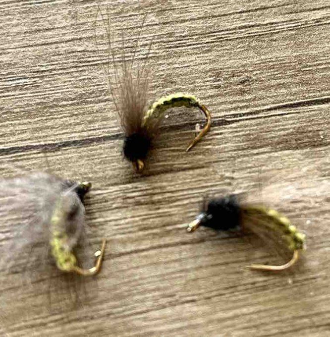 Nymphe de Caddis tissée Olive ou Grise