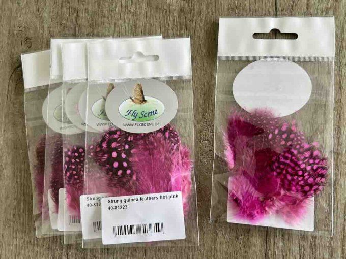 Plumes Pintade FLY SCENE