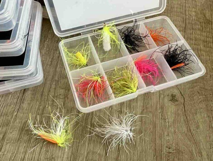 Kit découverte Le Poulpe 2025-26