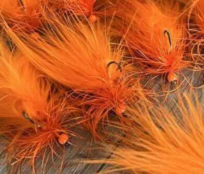 Streamer STREAM'POULPE