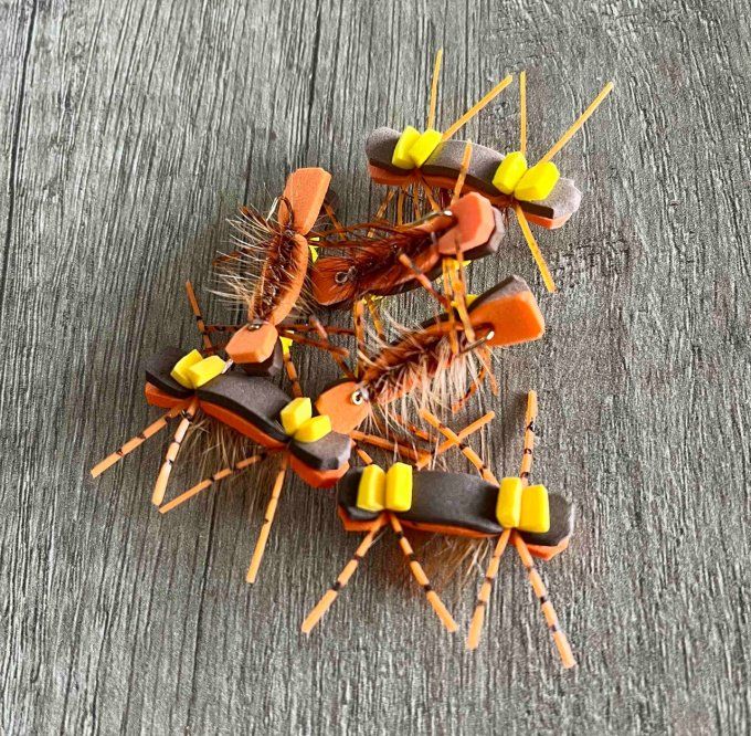 Tchernobyl ant