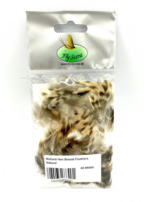 Plumes de poitrine et de cou de cane
