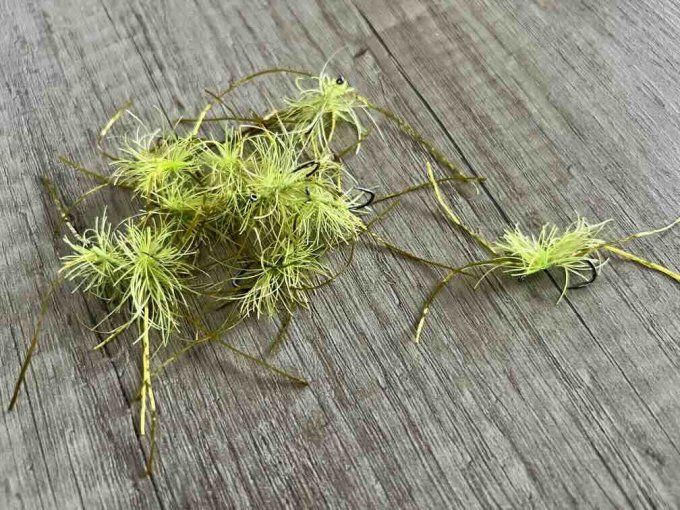 Mad Egg Poulpe tungstène 