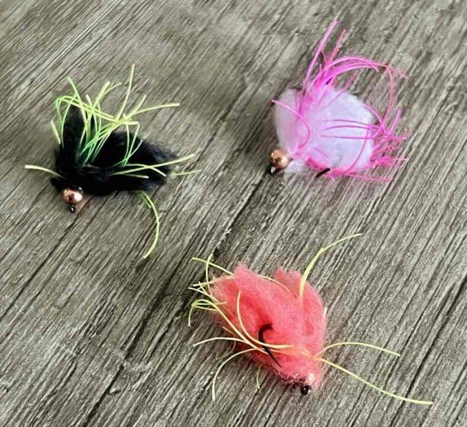 Mad Egg Poulpe tungstène 