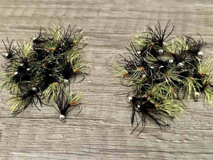 PERDI'POULPE (Rivière)