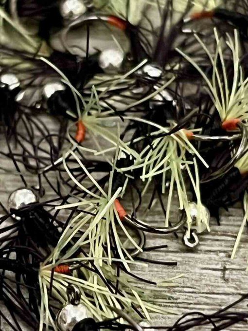 PERDI'POULPE (Rivière)