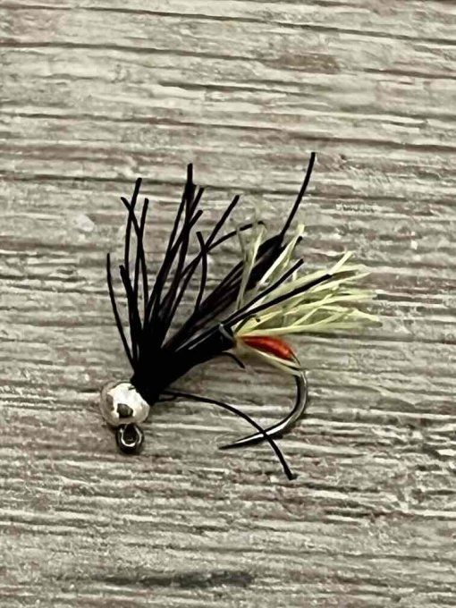 PERDI'POULPE (Rivière)