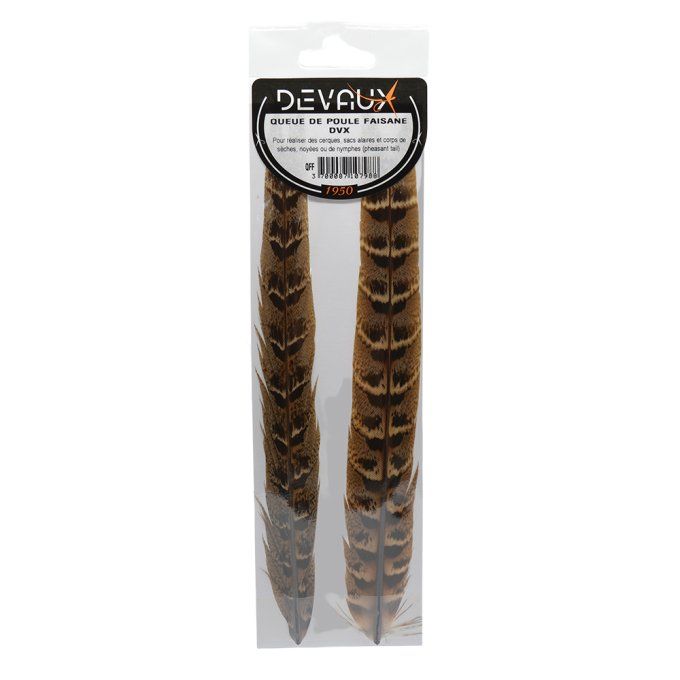 Queue de faisan  et poule faisane DVX