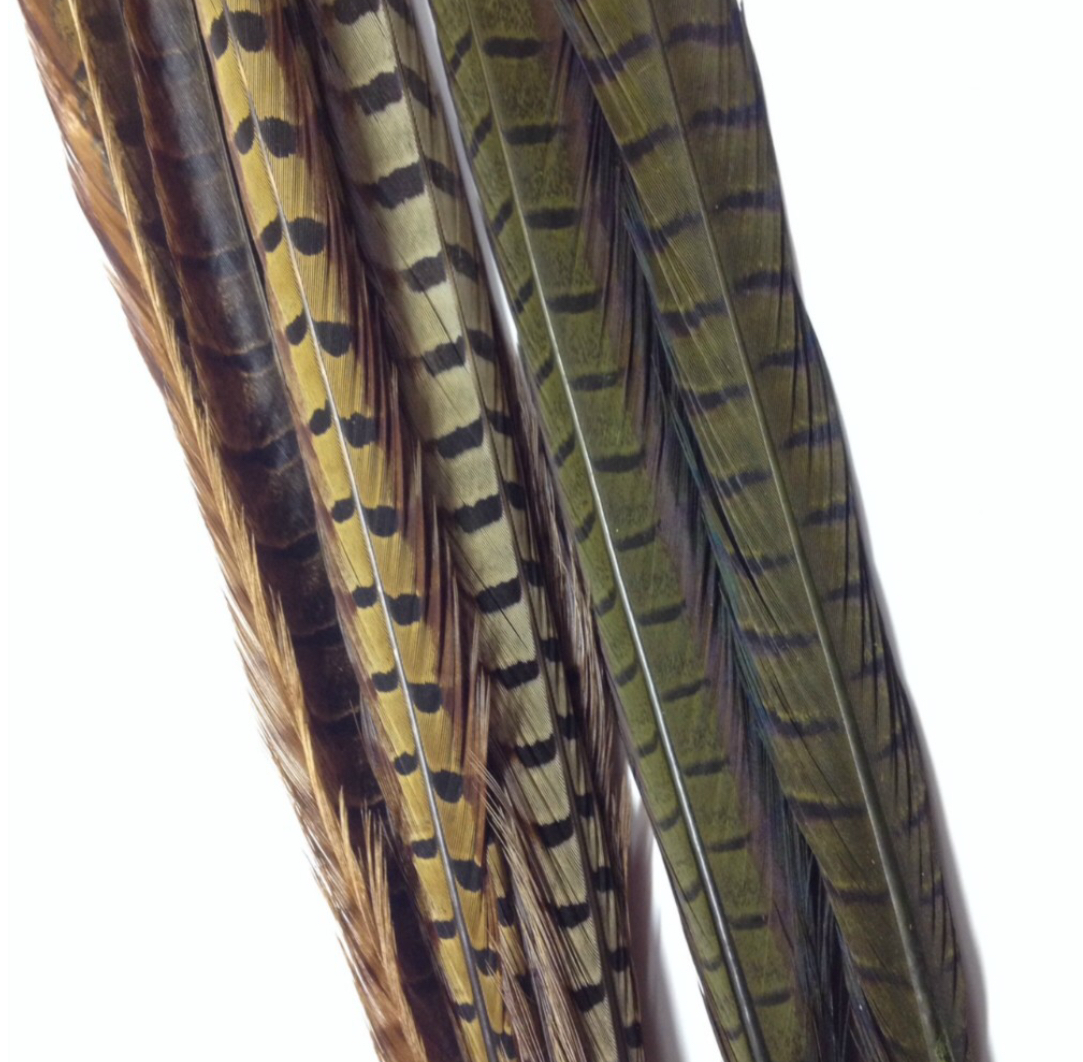Faisan